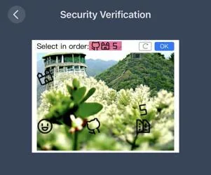 SCW Viewstation Mobile security verification