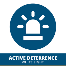 Active Deterrence
